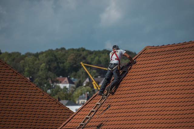Roofing & Chimney